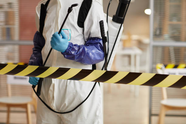 Professional Odor Removal technician working in Washington, IN